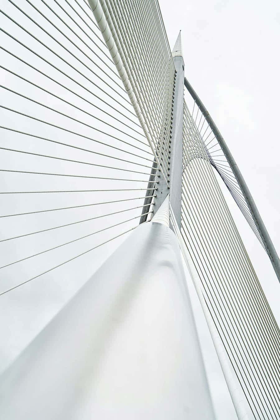 Puente moderno con cables y estructura elegante